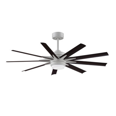 Ventilateur de plafond intelligent d'intérieur / extérieur de 56 pouces avec ensemble de lumières DEL CCT Odyn - blanc mat avec pales en noyer foncé