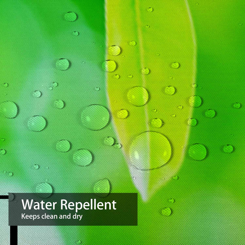 Rideau de douche Green Leaf, L 72 po x l 78 po
