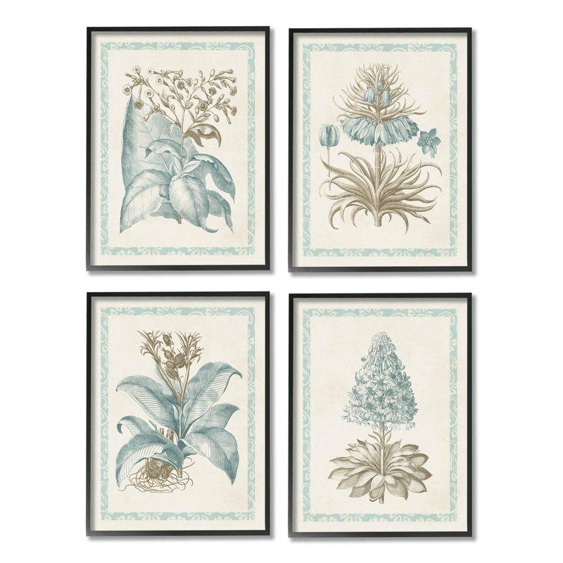 Botanical Herb, Études latines, ensemble de 4 giclées par Vision Studio, Giclée encadrée noir minuit