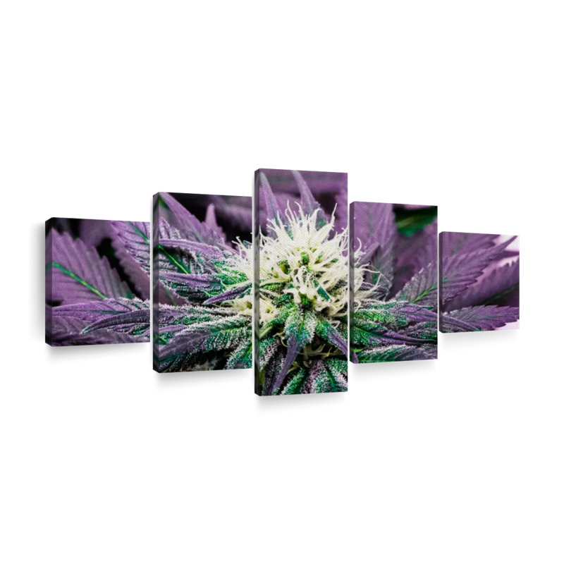 Ensemble de plante rare sur toile 5 pièces, H 42 po x l 92 po x P 1,25 po
