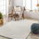 Solid Shag Area Rug