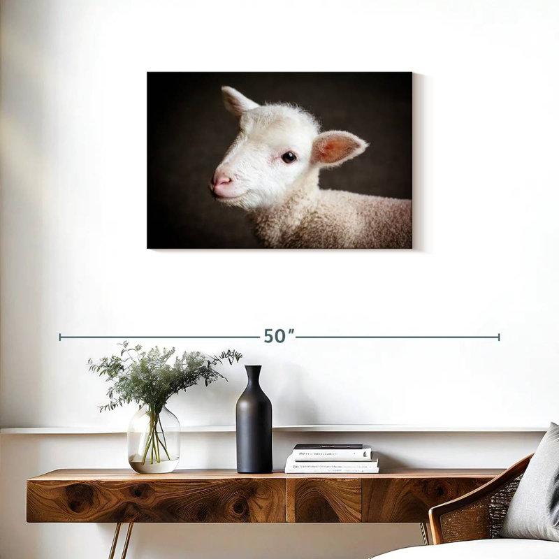 Brampt Baby Sheep