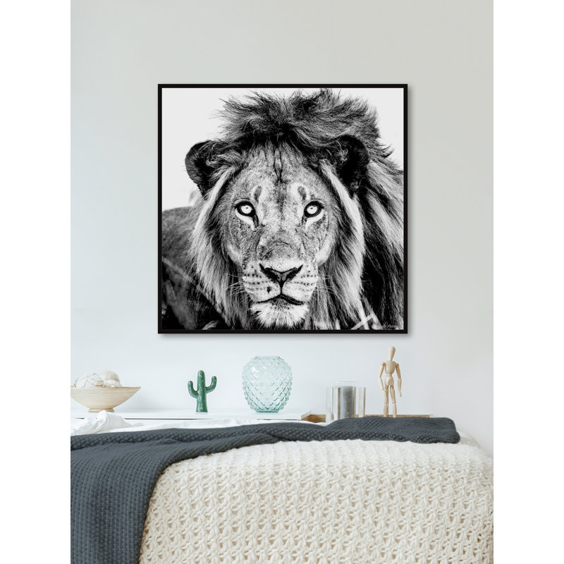Mighty Lion by Marmont Hill - Floater Frame Painting on Canvas, 30cm H x 30cm W