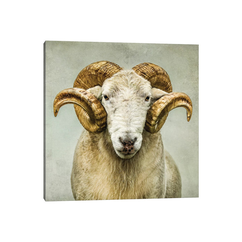 « Stare » par Mark Gemmell-impression d’art graphique, Toile tendue, Pas de tapis, H 26 po x l 26 po x P 1,5 po