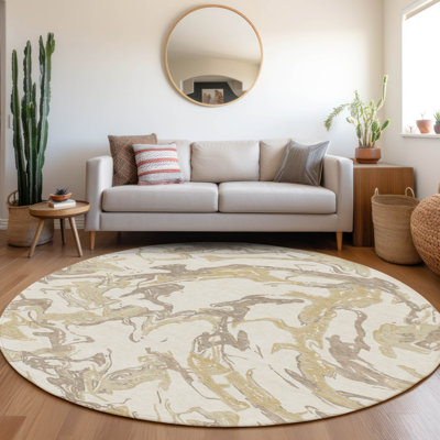 Machine Washable Indoor/Outdoor Chayden ACN1035 Rug