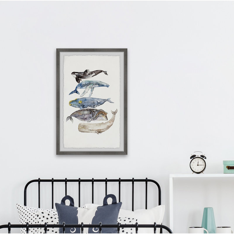 «Hartshorne Whale Species», reproduction encadrée, H 18 po x l 12 po x P 1,5 po