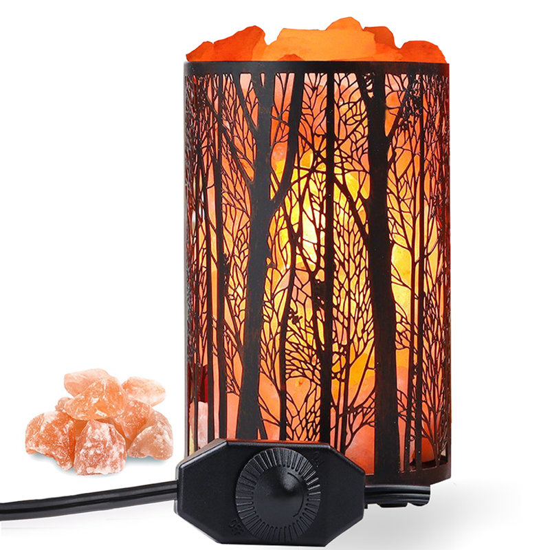 Kishan 4 Lb. Salt Lamp