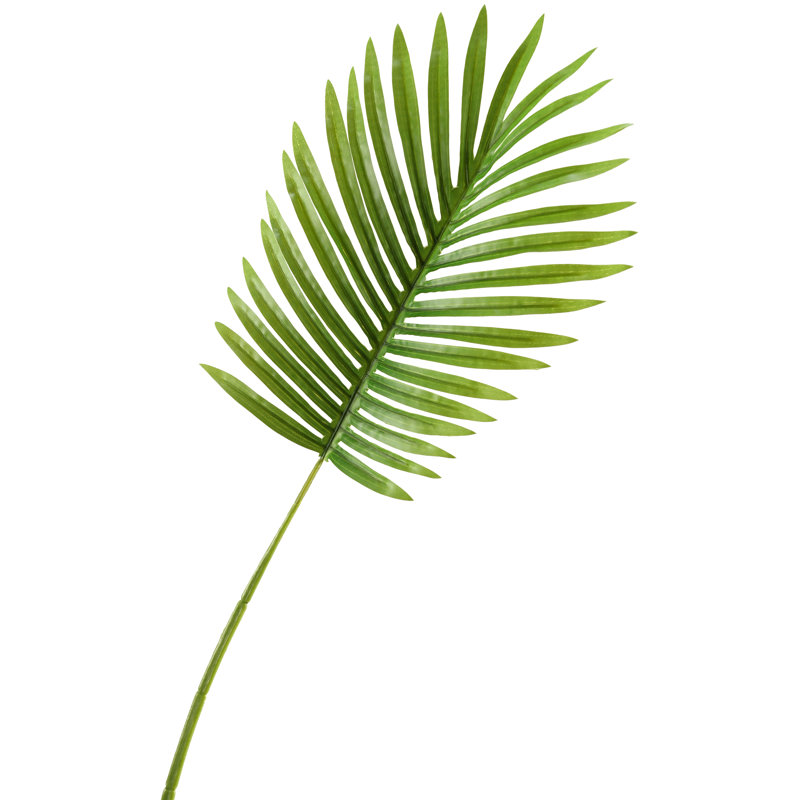 Petite tige de feuille de palmier hawaïenne