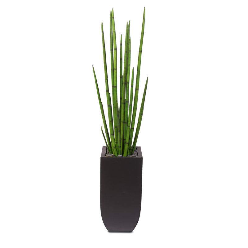 Tall Green Silk Snake Grass in Black Metal Planter