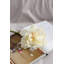 Tige de pivoine House of Hampton®-428404166-423769625