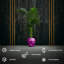 Handmade Planter-52455015