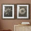 «Blossfeldt Flower I», ensemble de 2 reproductions de photos sur papier encadrées-309876239-309876238