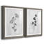 Neutre pré III - ensemble de 2 reproductions de dessins-630587905-630588027-630588028