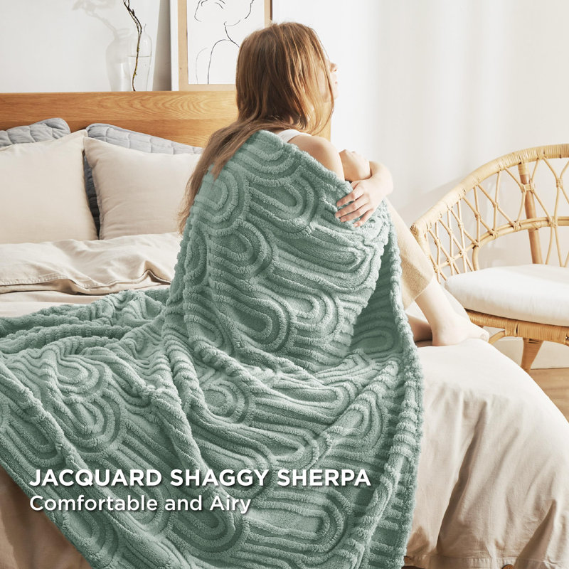 Bedsure GentleSoft Throw Fleece Blanket – Ultra Soft Plush Throw for Dorm Room – Sage Green – Cozy Gift for Her, Throw