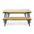 1 DINING TABLE+2 DINING BENCHES