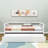 Ariaa Modern Twin Size Wood Daybed with Trundle-1965244060