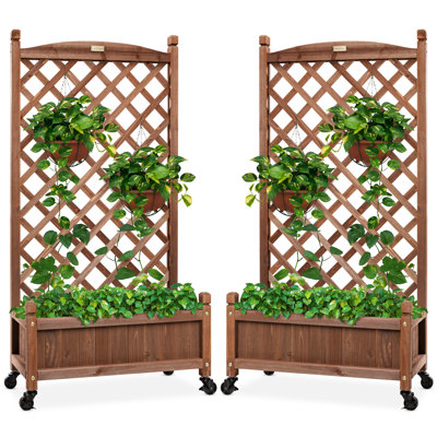 2 Robbie 48 in. Wood Planter Box & Diamond Lattice Trellis, with Drainage, Optional Wheels