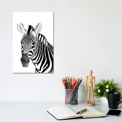 Safari Zebra by Danita Delimont - Wrapped Canvas Gallery-Wrapped Canvas Giclée