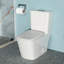Modern Ceramic Toilet With Soft Cushioned Seat - Extra Comfort White To Scratches, Finish