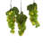 286'' Twinkle String Lights-51895027