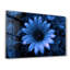 Decorative Tempered Glass Painting