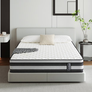 Classic Pro Collection Resspry Mattress