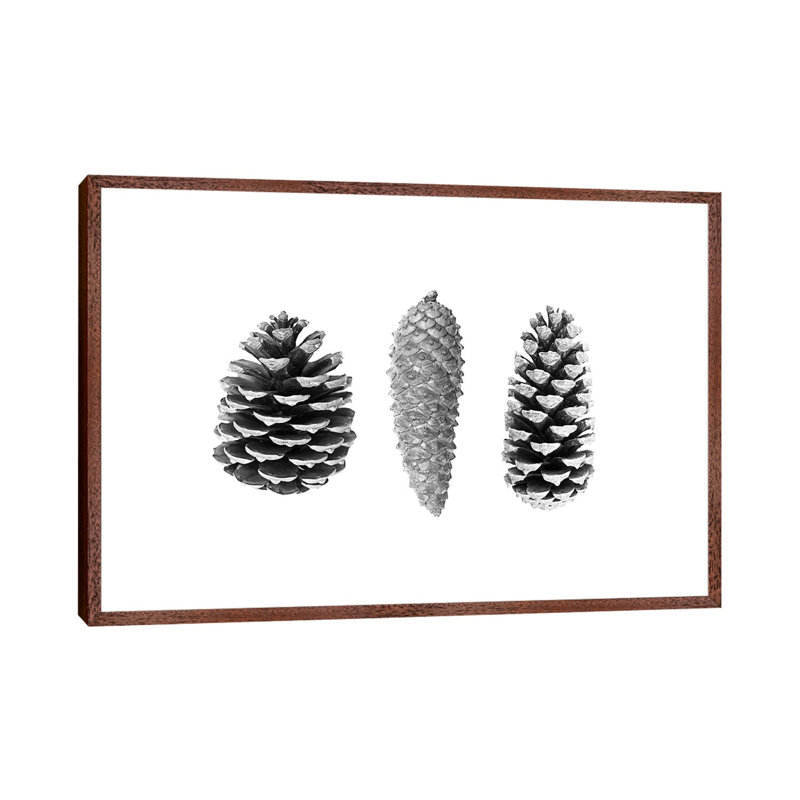 Pine Cones by Sisi & Seb - Gallery-Wrapped Canvas Giclée on Canvas, 66.04 cm H x 45.72 cm W, Classic Wood Framed