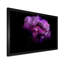 " Purple Dark Fractal Flower IV "-2036244799-2036244798