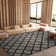 Trudie Shag Performance Geometric Rug