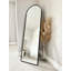Deneane Metal Arch Mirror