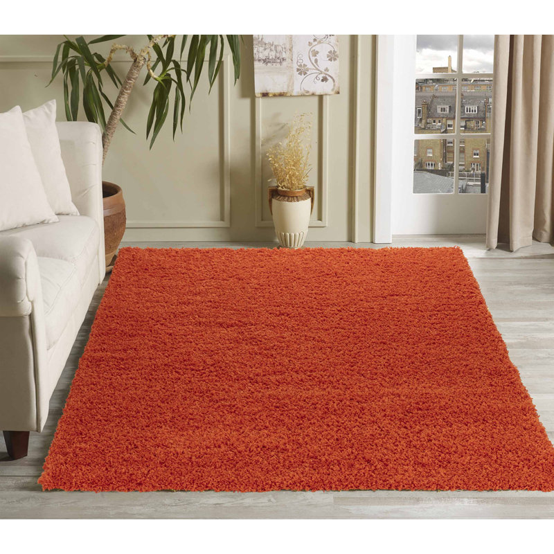 Esterly Orange Shaggy Rug, Rectangle 120 x 170cm