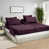 Mauve aubergine est en rupture de stock