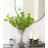 Artificial Greenery Willow Bell Branch in Vase