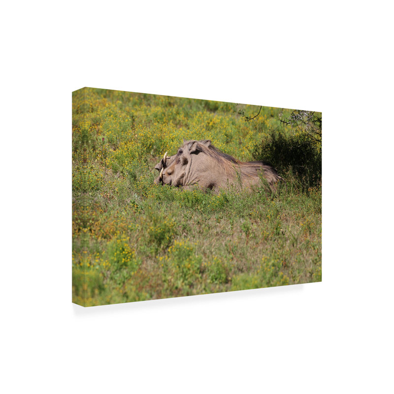 Art sur toile, Bob Bob Langrish, H 12 po x l 19 po