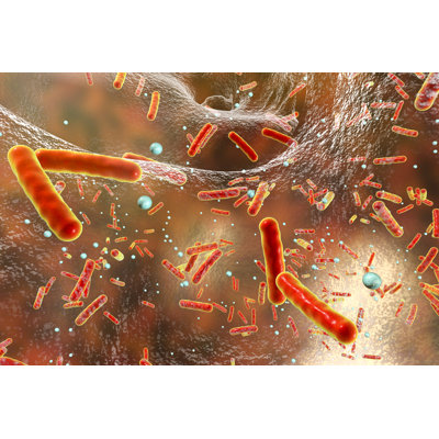 «Multidrug Resistant Bacteria Inside a Biof Film» par Dr_Microbe - impression sur toile tendue