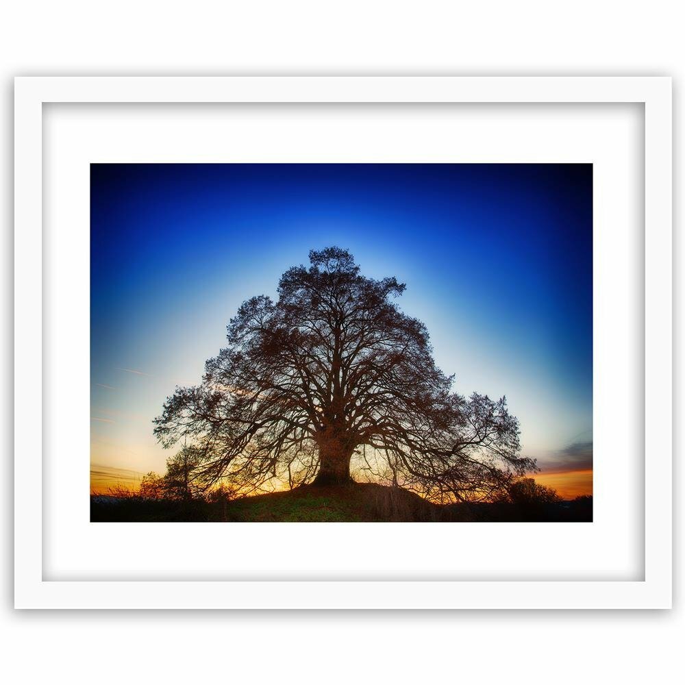 Gerahmter Fotodruck Großer Baum in der Dämmerung