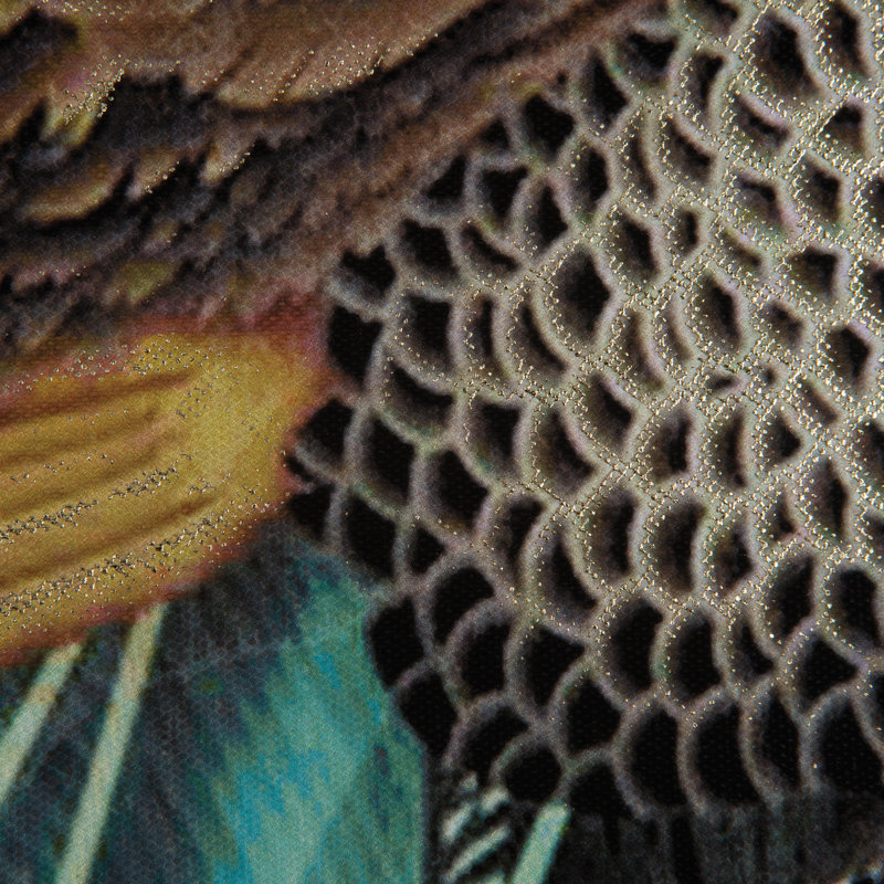 « peacock poises i », impression sur toile tendue