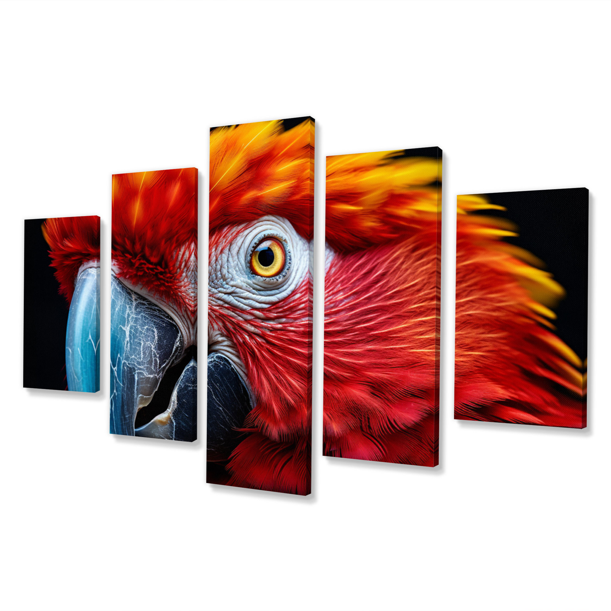 Gracie Oaks Red Parrot Colorful Parrot Animals Wall Art Living Room