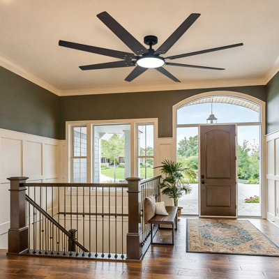 Ceiling Fan