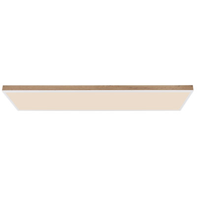 Ason Plastic LED Flush Mount