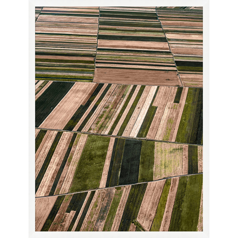 Warm Fields 1 Print by Nathan Turner