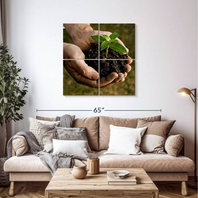 Senne New Seedling Sprouting, 38" H x 38" W