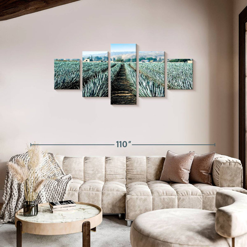 Agave Alvord Farm, H 36 po x l 80 po