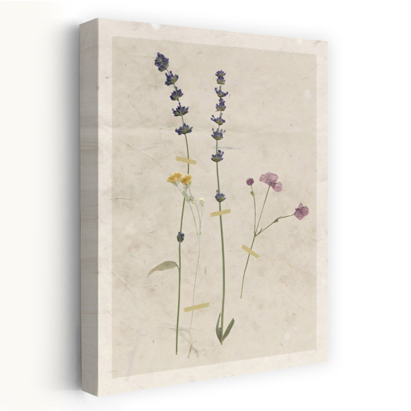 Art mural fleur pressé lavande minimaliste rétro, H 18 po x l 12 po