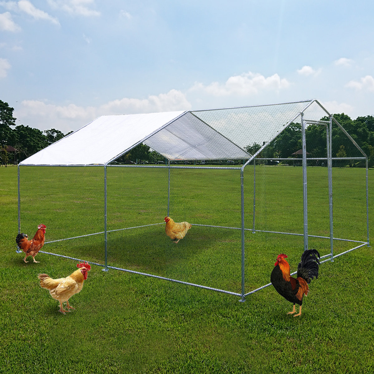 Tucker Murphy Pet™ Zed Walk-in Chicken Run with Wire Mesh & Reviews ...