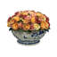 Roses Centerpiece in Pot