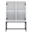 Aanvi Steel Standard Accent Cabinet-1763828316