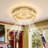 Gonroff Ceiling Fan with LED Lights