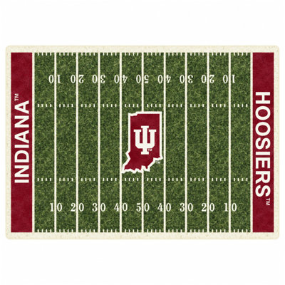 Indoor Rug