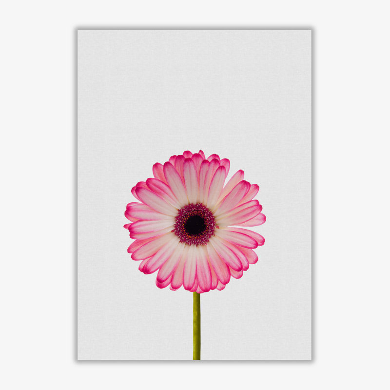 Daisy Still Life - Print, No Frame, 42 cm H x 30 cm W x 1 cm D